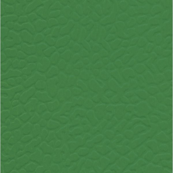 Линолеум LG Sport Leisure Dark Green