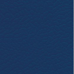 Линолеум LG Sport Leisure Blue